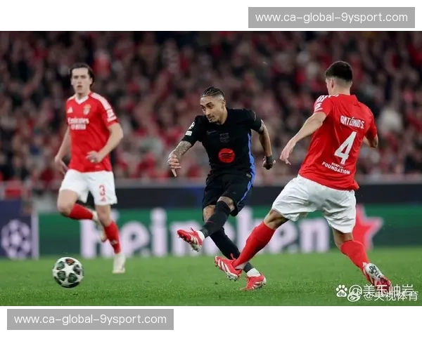 本菲卡集锦：辉煌时刻与激情进球