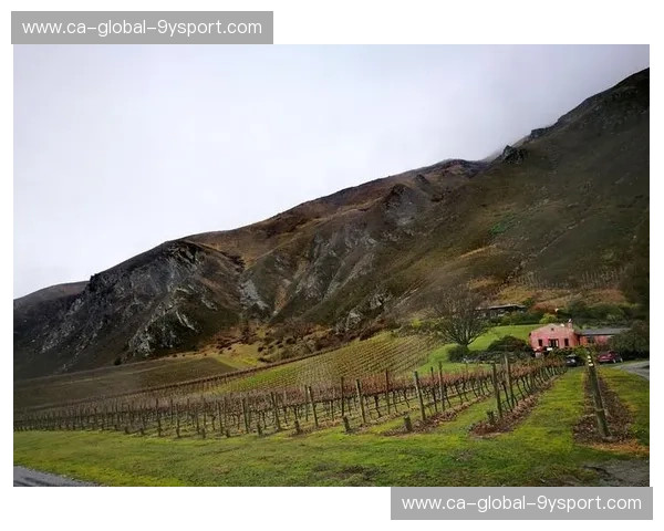 跨越赤道的巅峰之战：当自由女神遇见潘帕斯雄鹰，谁才是美洲大陆的终极梦想？